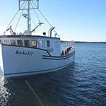 Kyle Sea XVI - Front View