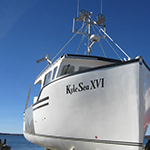 Kyle Sea XVI - Front View Close