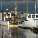 Docked Boats